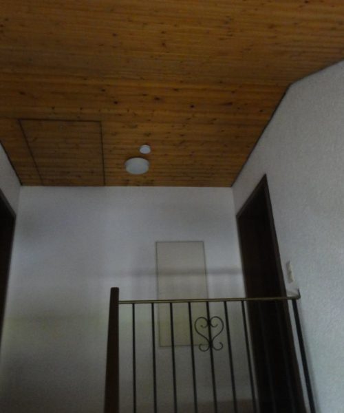 DSC00624